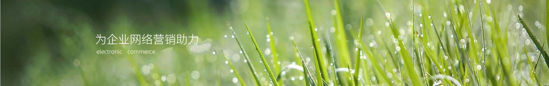 ܱҵ޹˾